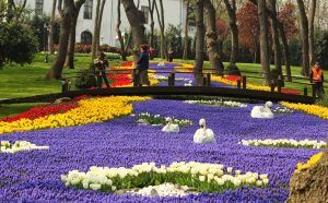 Fantastic Istanbul Gardens And Where To Find Them 1